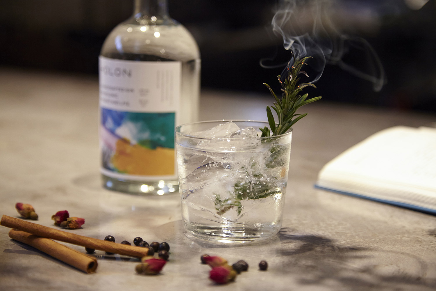 c_holon_original_photo_03