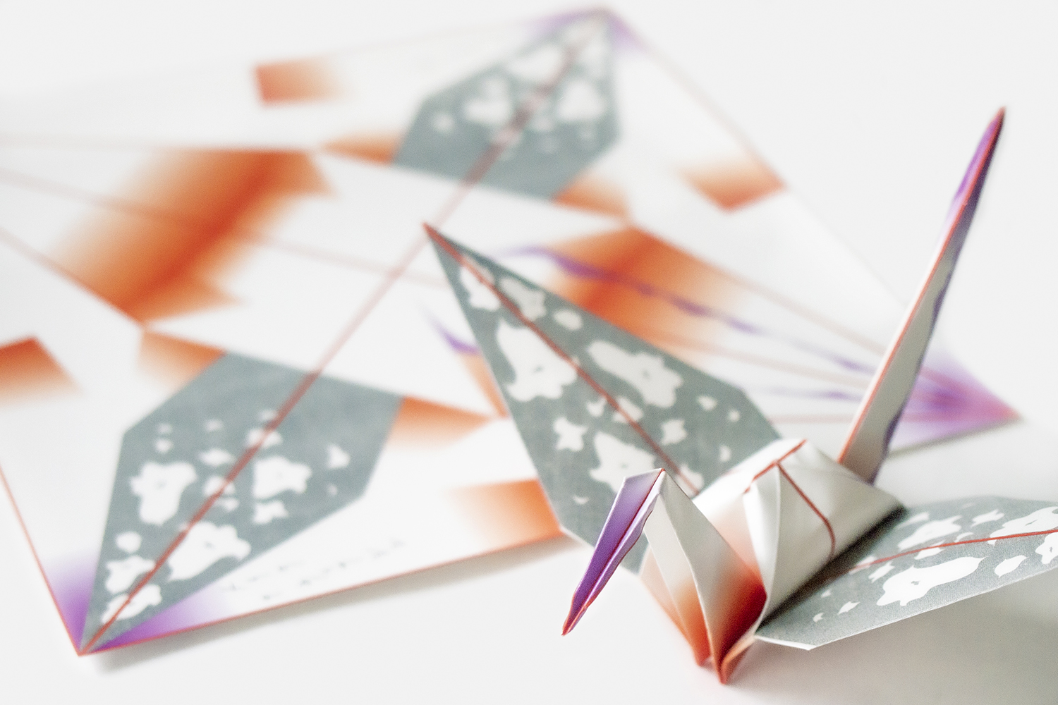 olympus-digital-camera