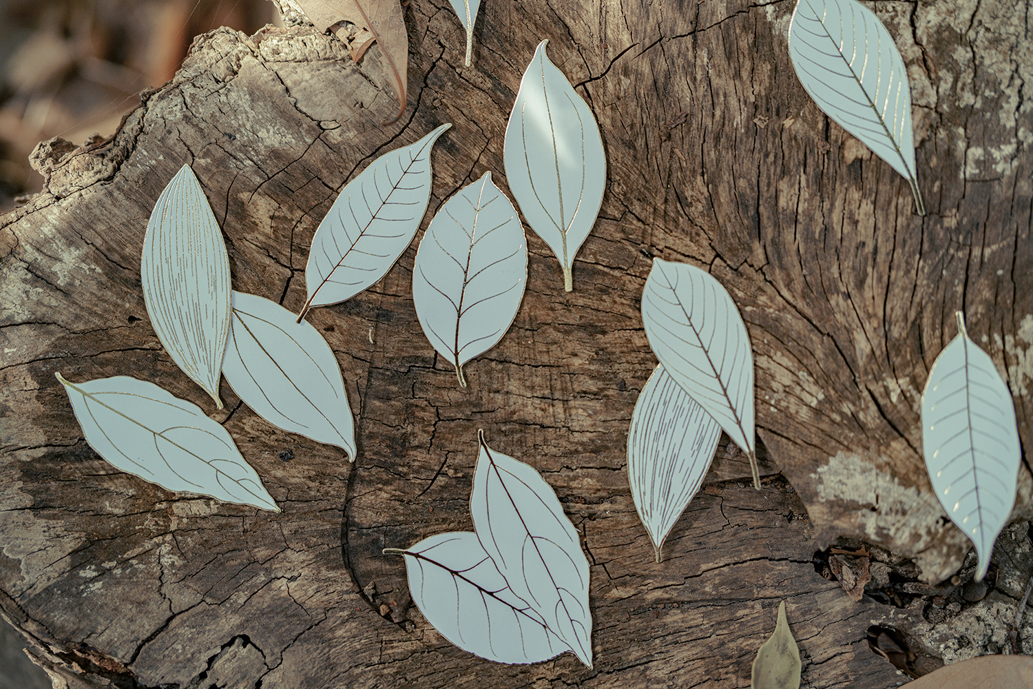 b_shiroyamakumanoshrine_omikuji_02