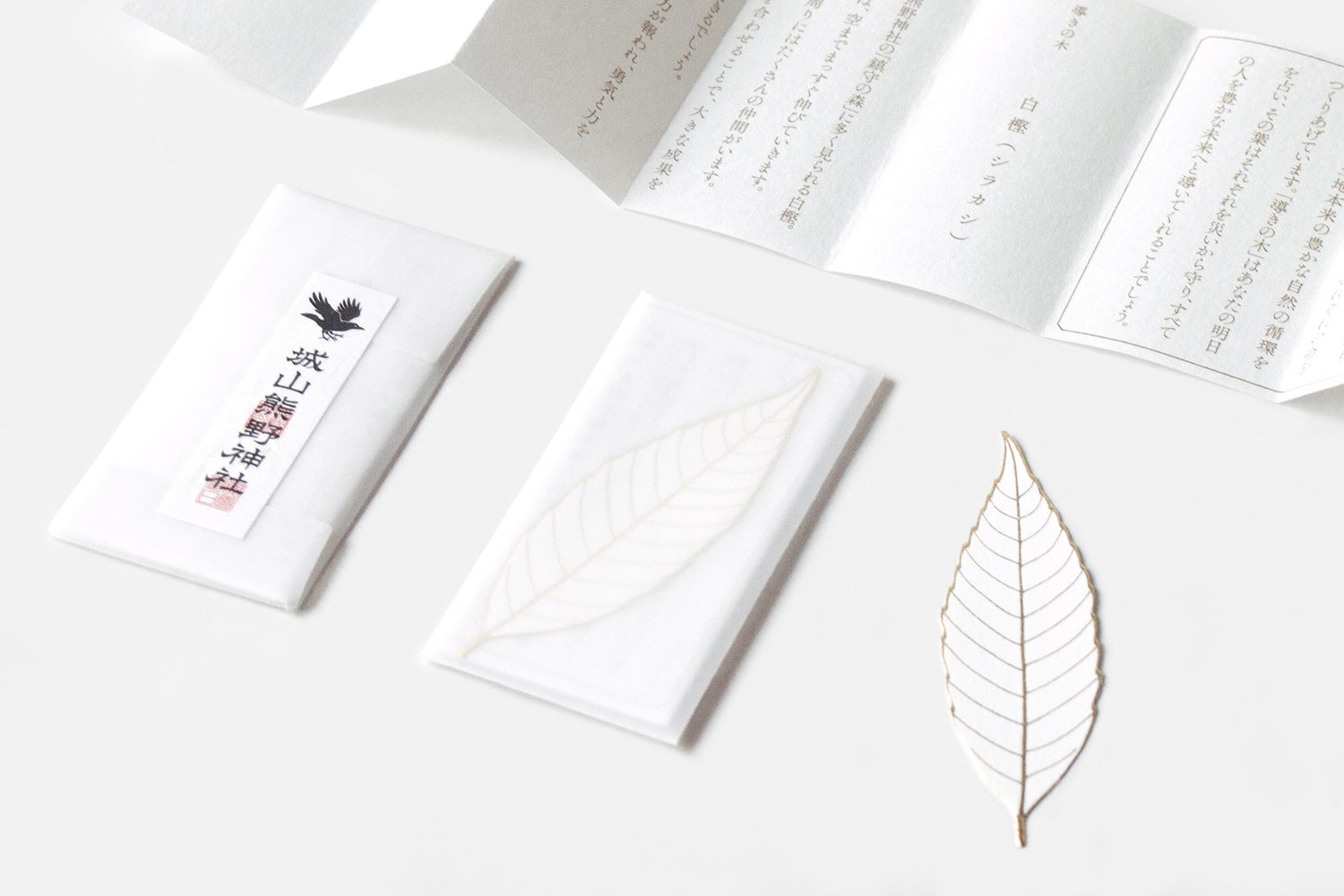 olympus-digital-camera-2