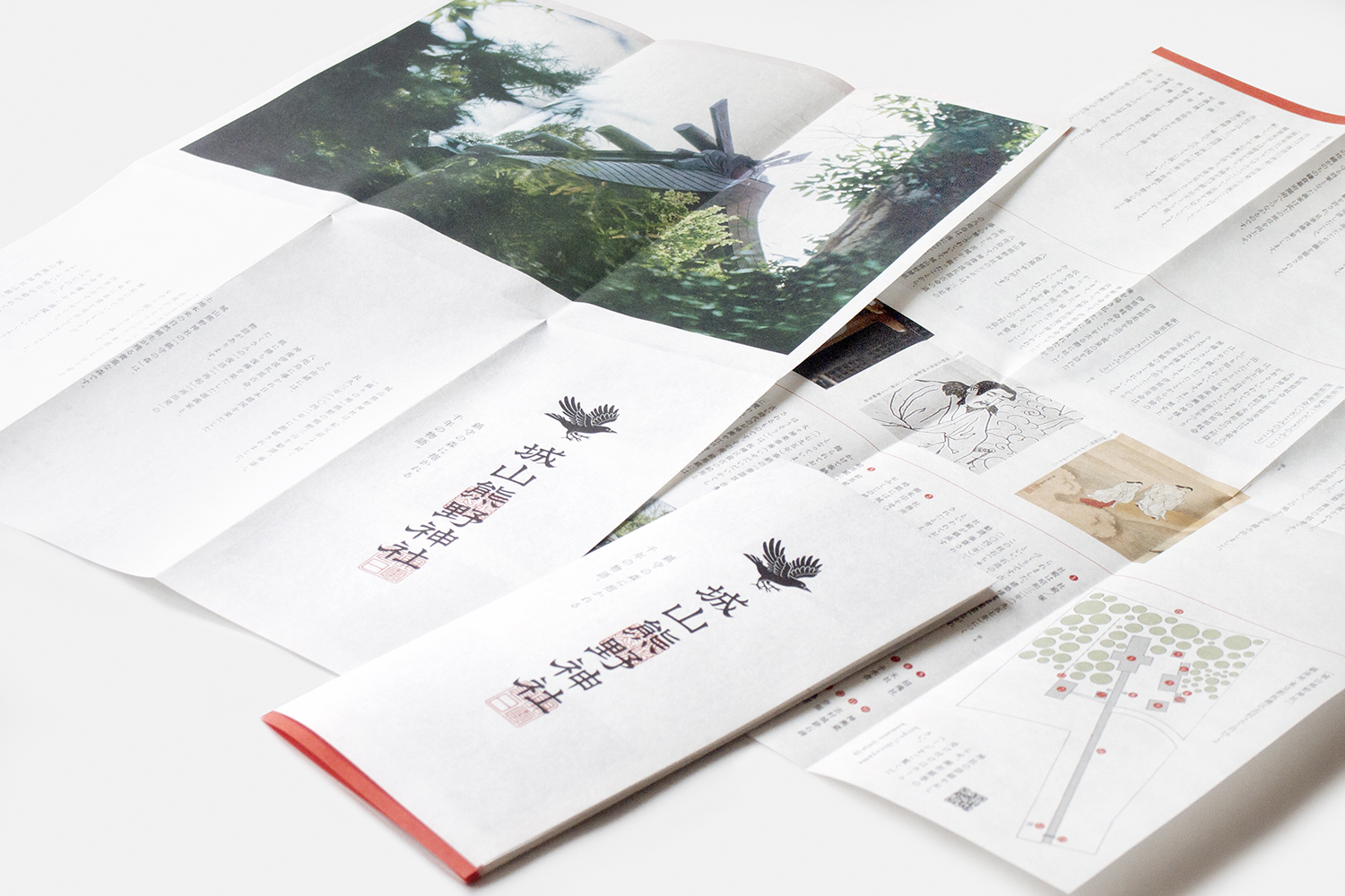 olympus-digital-camera-3