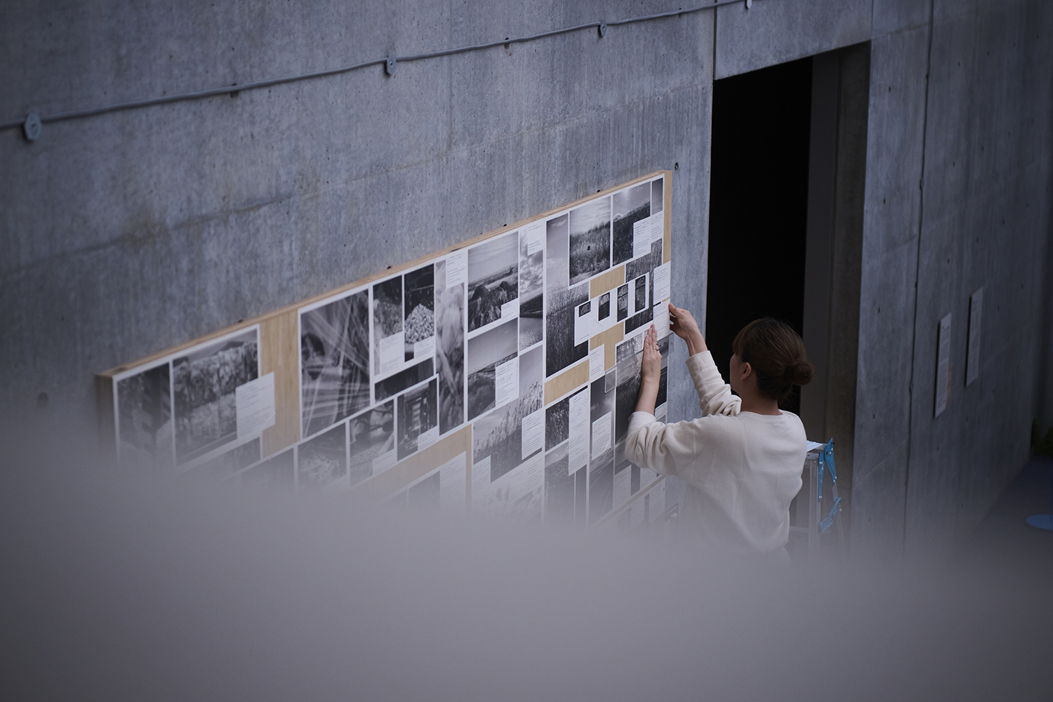 a_graphicdesignersandenvironmentalissues