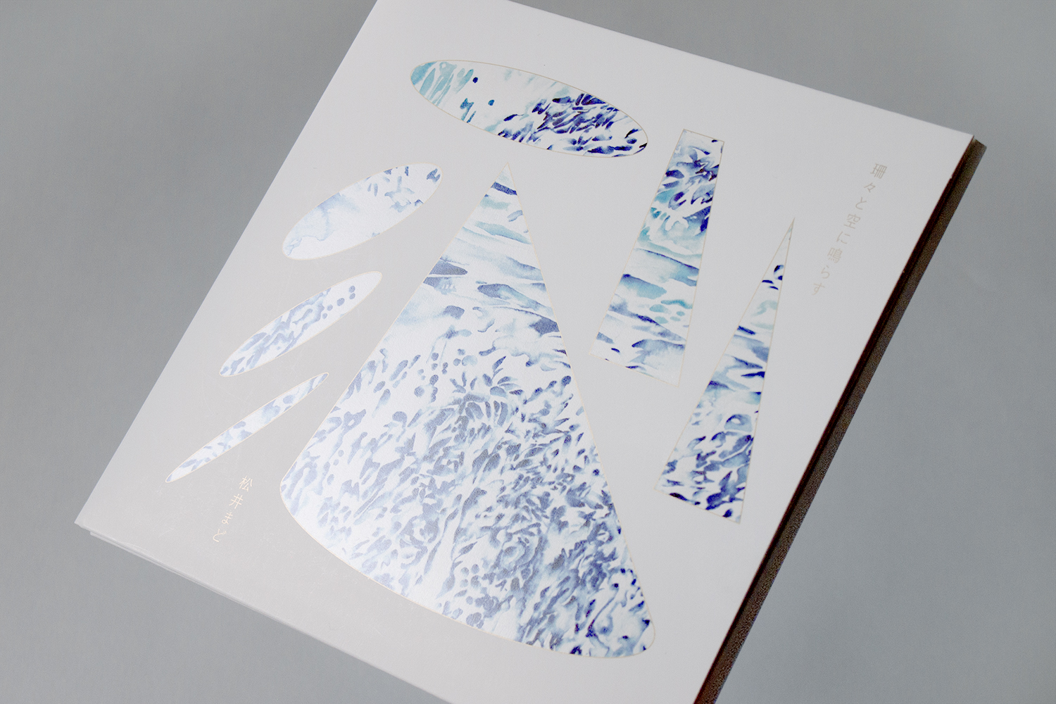 olympus-digital-camera-9