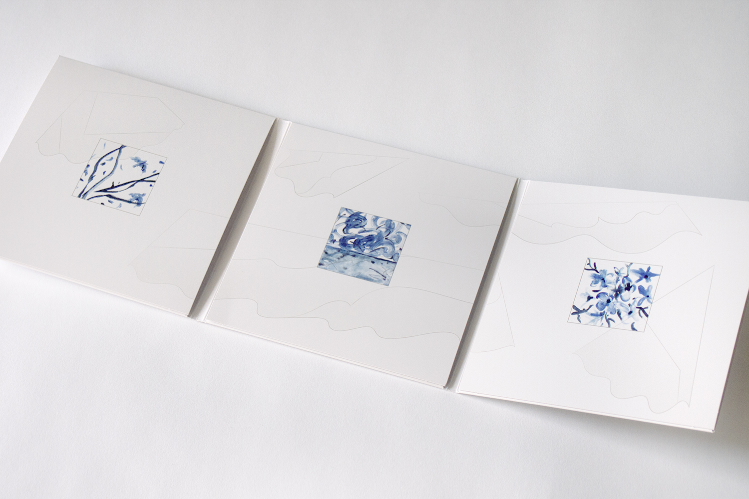 olympus-digital-camera-11