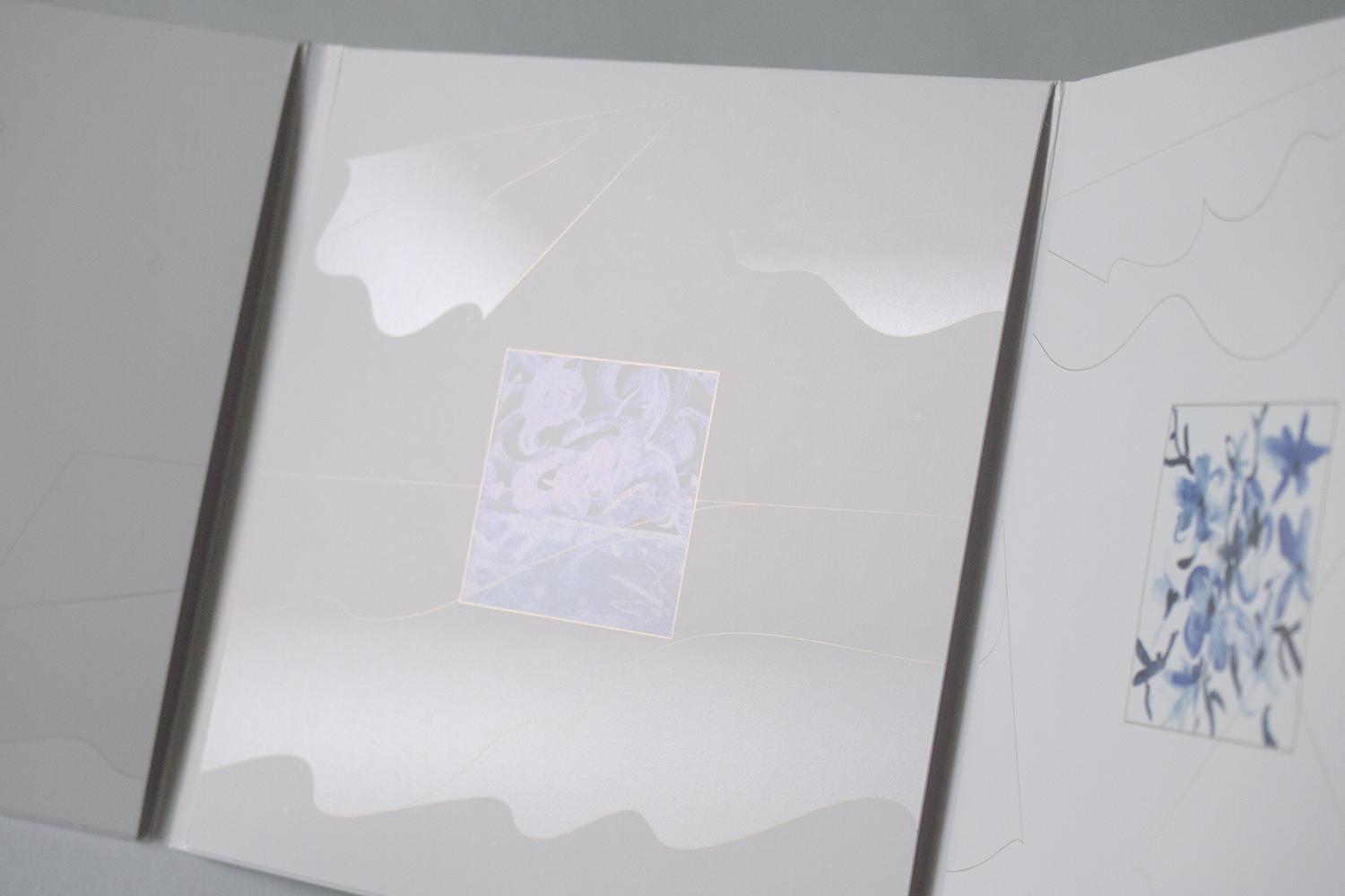 olympus-digital-camera-12