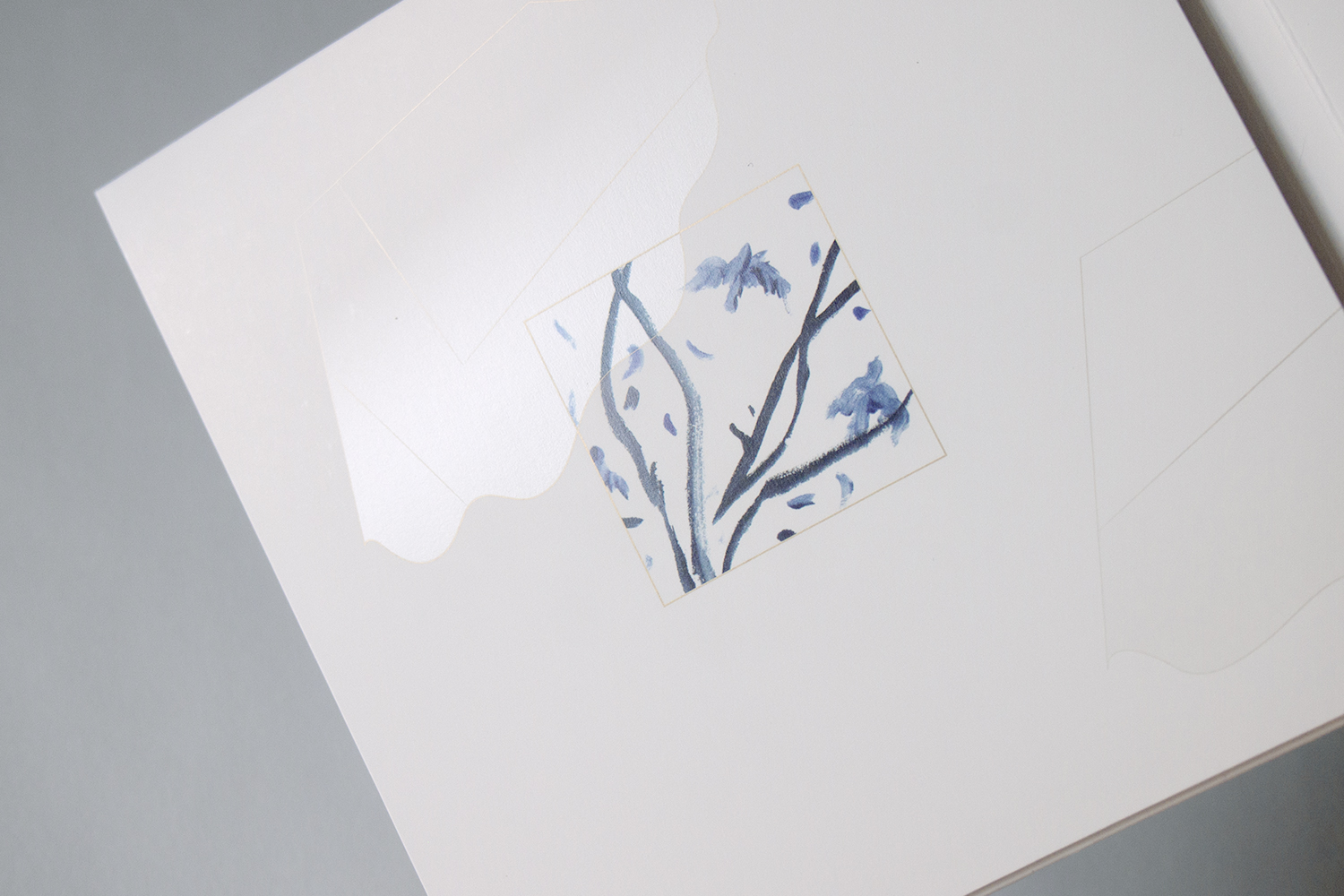 olympus-digital-camera-13