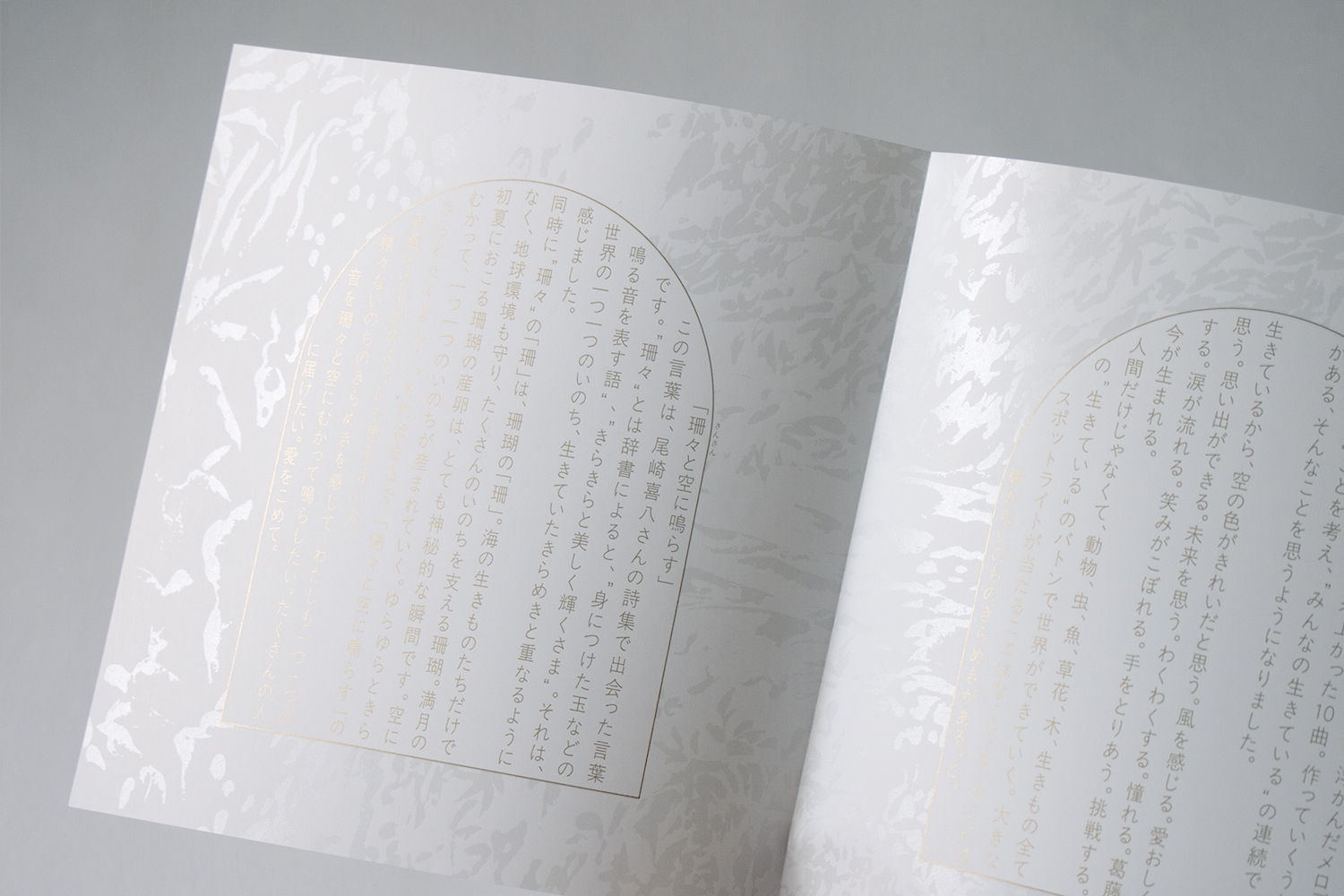 olympus-digital-camera-16