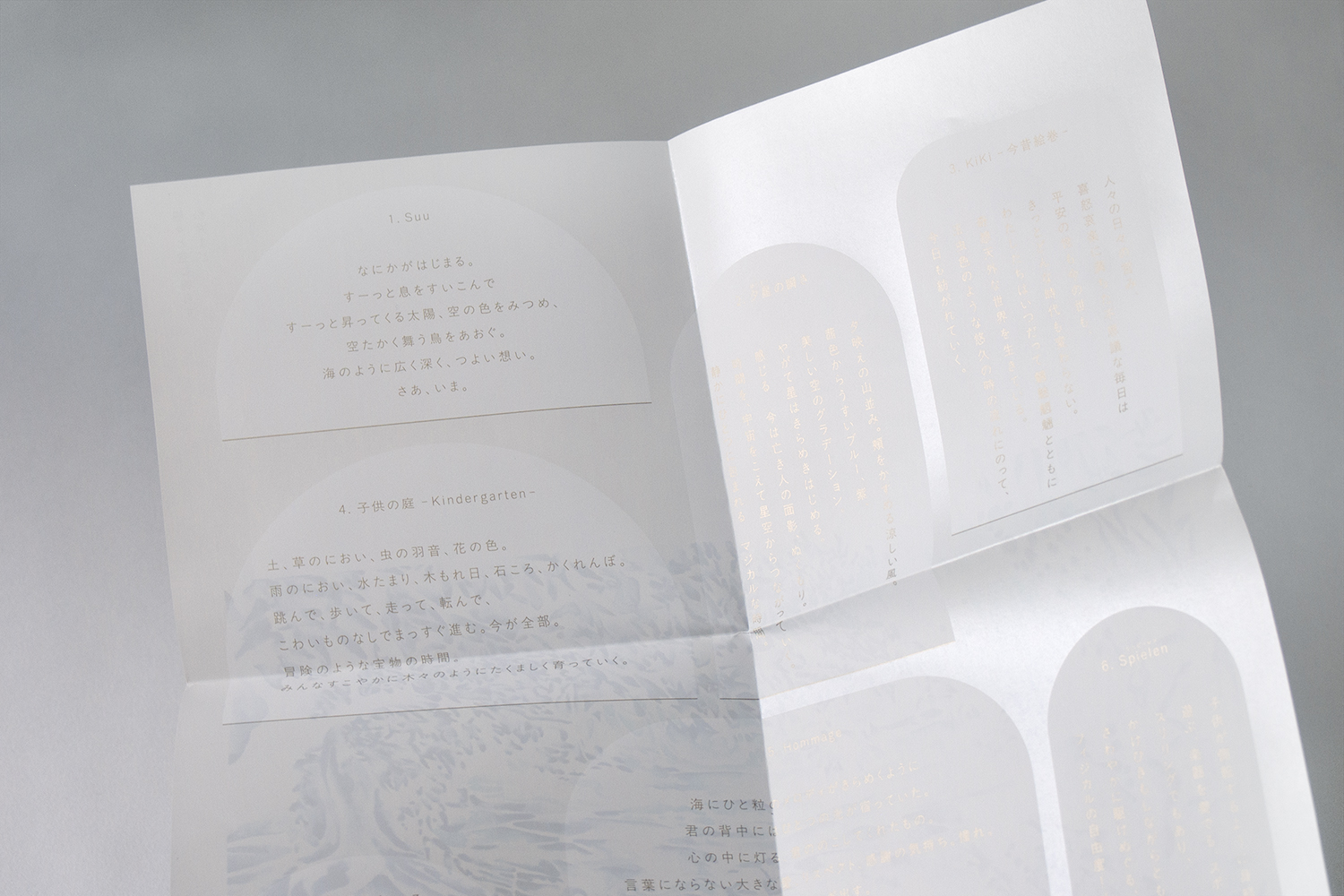 olympus-digital-camera-17