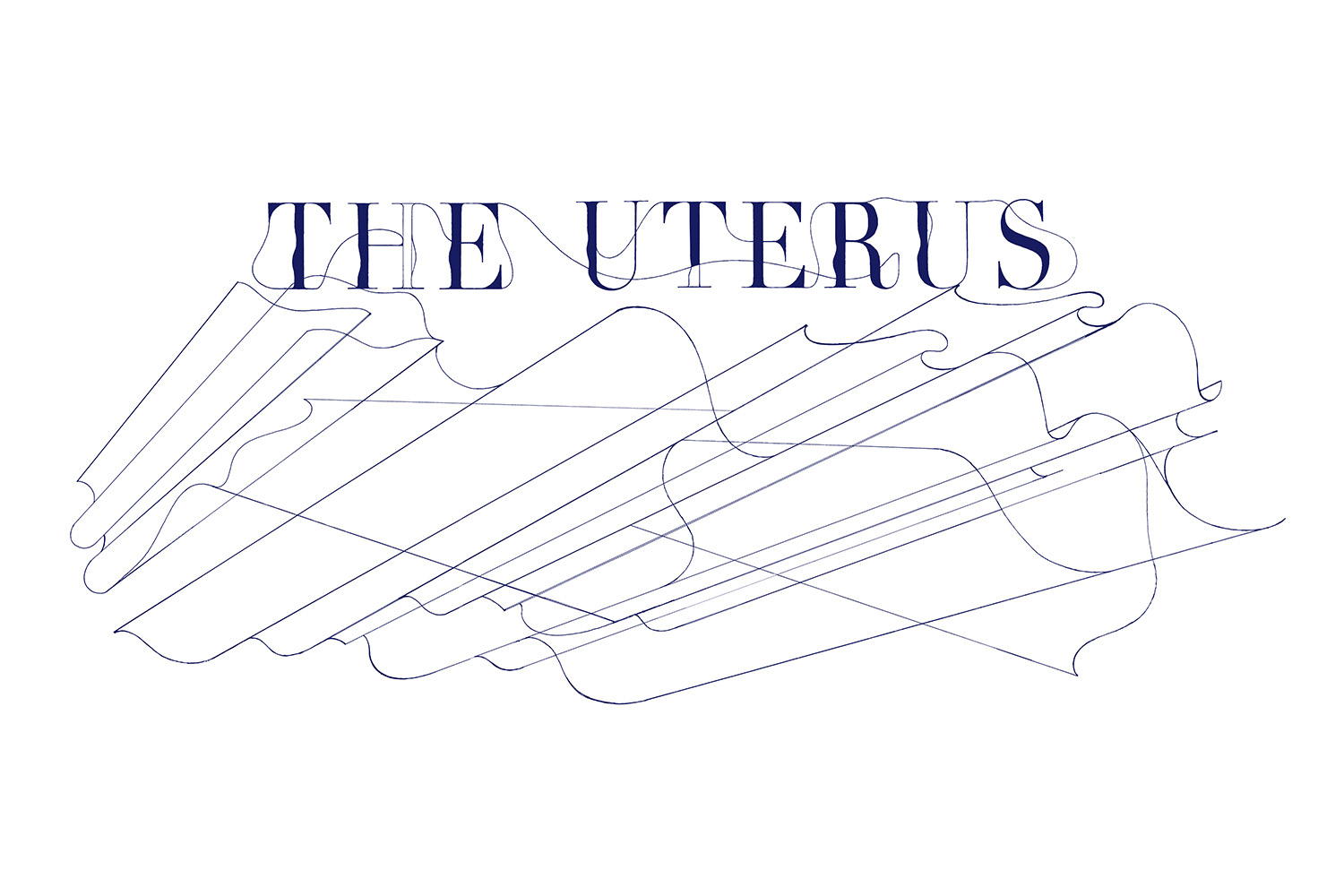 THE UTERUS