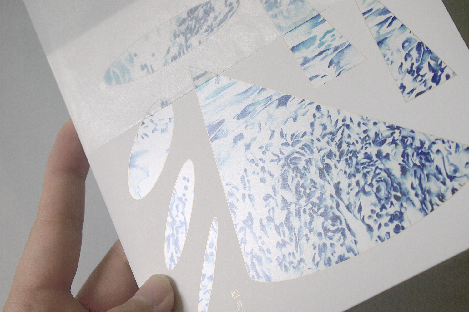 olympus-digital-camera-7