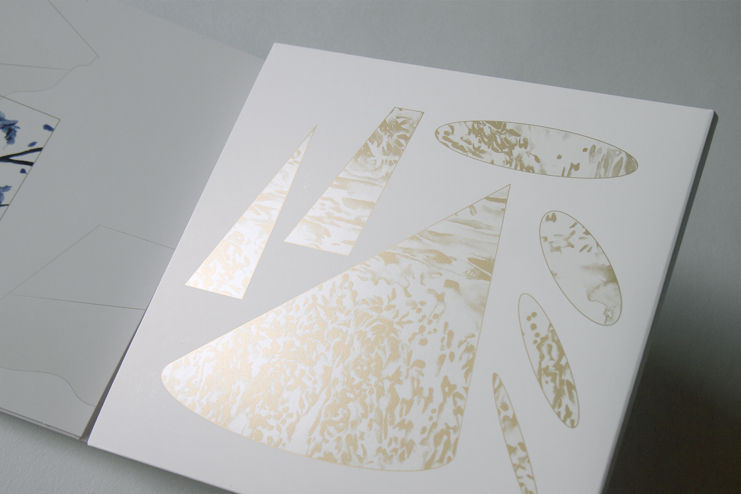 olympus-digital-camera-10